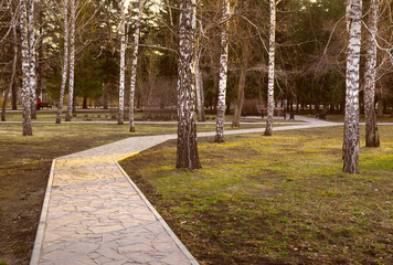 Stone path in the park. The broken curve of the pedestrian path in the spring park of the Square of Glory among the bare birches. Novosibirsk, Siberia, Russia