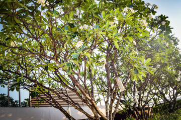 バンコクの夕暮れの情景