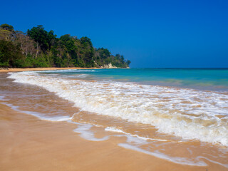 beach with palm trees, in Andaman, India