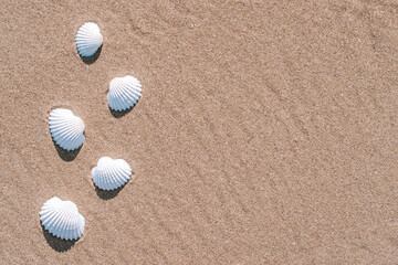 Fototapeta na wymiar Summer holidays background. Seashells, shells on sand tropical sea beach. Tranquil beach scene with copy space.