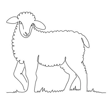 How to draw a Sheep Step by Step  Sheep Drawing Lesson  YouTube