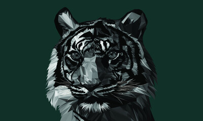 tiger head vector