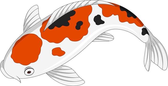 Cartoon Cute Koi Fish On White Background