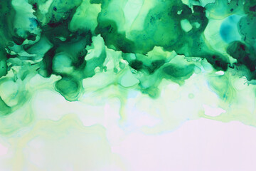 Fototapeta na wymiar art photography of abstract fluid painting with alcohol ink, green colors