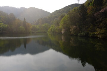 Fototapeta na wymiar Lake in Korea with impressive reflection