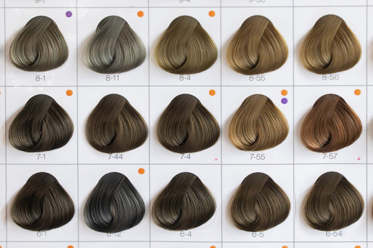 Hair Colour Chart Images – Browse 3,884 Stock Photos, Vectors, and Video |  Adobe Stock