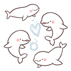 シロイルカセット