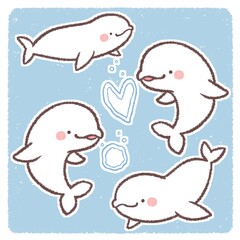 シロイルカセット背景付き