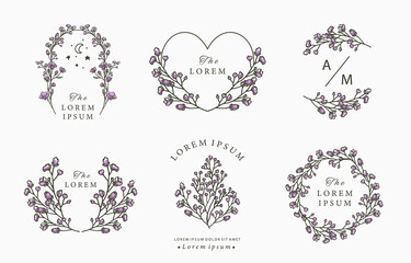 Beauty lavender collection.Vector illustration for icon,sticker,printable and tattoo
