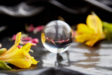 Fresh and dry flowers in an optical illusion ball. Concept of Earth Day, Environment Day and climate-change goals. High quality photo