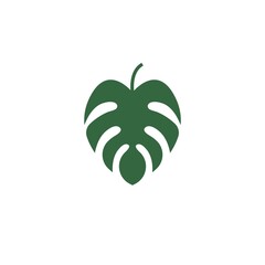 monstera leaf icon vector illustration design template