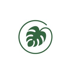 monstera leaf icon vector illustration design template
