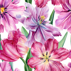 Pink tulips, beautiful flowers on an isolated white background. seamless pattern. Watercolor botanical illustration