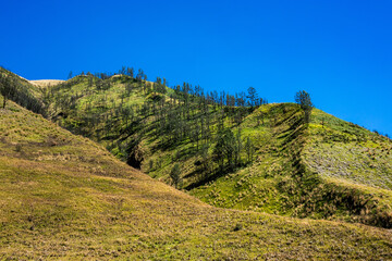 Mountain hill and yellow meadow and Savanna Green Hill in Bromo Tengger Semeru National Park.