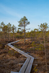 Fototapeta na wymiar The landscape around pathway on an early spring morning. Rabivere bog (also known as Hagudi bog) in Rapla County, a popular natural attraction in Estonia, a tourist ecological trail. Selective focus.
