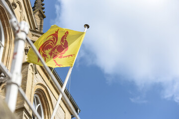 Belgique Wallonie wallon coq drapeau region