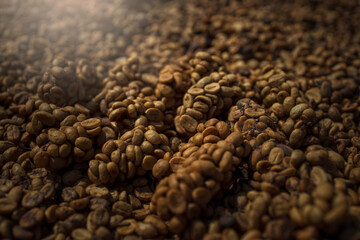 Kopi luwak or civet coffee, coffee beans excreted by civet.