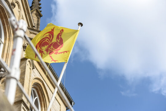 Belgique Wallonie wallon coq drapeau region