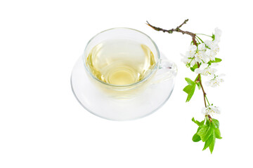 Green tea in a glass cup with branch of blossoming cherry tree isolated on a white background.