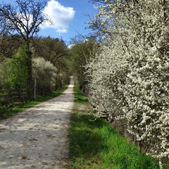 Beautiful weather in Bavaria in Germany as Spring turns warm.