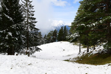 snowy landscape in Liechtenstein, Europe