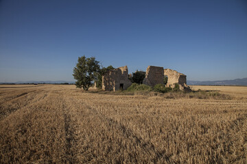 Ruin On A Filed In South Of France
