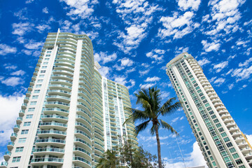 Skyscrapers of Fort Lauderdale with palms and blue sky