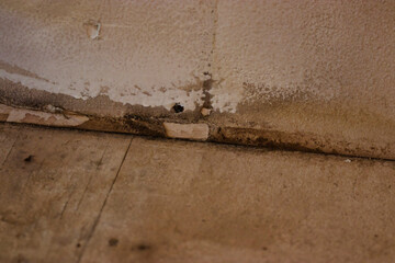 water damaged wall panneling and sub floor