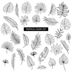 Monochrome set of tropical leaves