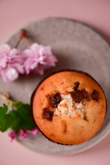 Muffin with chocolate on a gray plate, next to sakura flowers, on a pink background, top view.