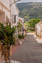 Fototapeta na wymiar The main street with red flowers in a small town of Andalusia Almargen 