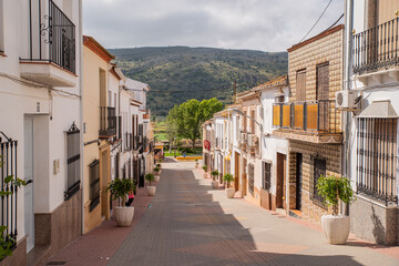 The main street with red flowers in a small town of Andalusia Almargen  - obrazy, fototapety, plakaty