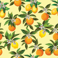 Citrus tropical seamless pattern. Summer exotic print. Hand drawn illustration. Botanical realistic eco pattern. Orange realistic fruit.