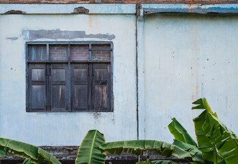 The wooden windows of the old building and the banana leaves in the front.