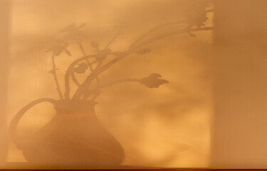 Shadows of plants. Horse chestnut tree buds on sunny April day. Growing leaves in a glass vase.