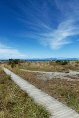 New Zealand, Motueka seafront near the Kumeras at the top of Staples Street.