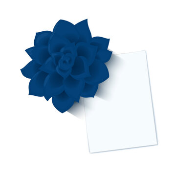 Workplace vector mock up with copy space. Flat lay top view of blank a4 paper and a cactus. Home office templace for freelance and studying concept.