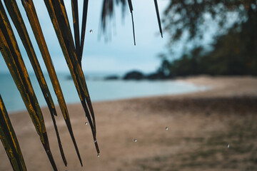 The beach on the island on a rainy day