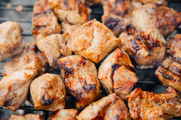 arbecue at home when the weather is nice. Prepare food outside. Meat on the grill	