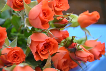 Bouquet of pink roses Mother's Day, Valentine's Day, Birthday celebration concept. A greeting card.