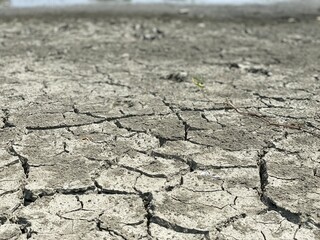 Obraz premium Mudcracks (also known as mud cracks, desiccation cracks or cracked mud) are sedimentary structures formed as muddy sediment dries and contracts. Crack formation also occurs in clay-bearing soils 