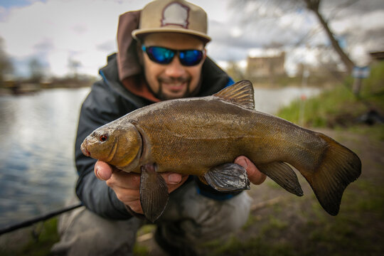 Fishing. Fisherman and trophy Tench fish.