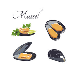 Vector set of Mussels for Mediterranean cuisine, isolated on a white background. Top view, side view, closed shell, open shell