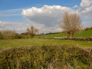Chiltern Landscape