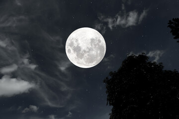 Fototapeta na wymiar Full moon on sky with tree silhouette.