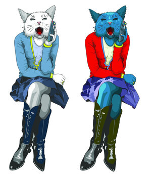 Chat qui t&eacute;l&eacute;phone au portable