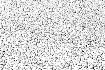 Peel paint crack. Dry earth cracked overlay. White paint black cracks background. Scratched lines texture. White and black distressed grunge wall pattern. Weathered rustic surface. Dry paint overlay.