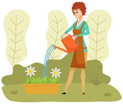 Girl is watering flowerbed. Female character with watering can takes care of nature and plants. Woman pours water on chamomile in pot. Lady gardener fertilizes plants and water vector illustration