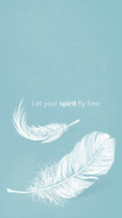 Feather illustration graphic with quote, let your spirit fly free