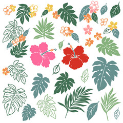 Tropische bloem vector illustratie materiële collectie,